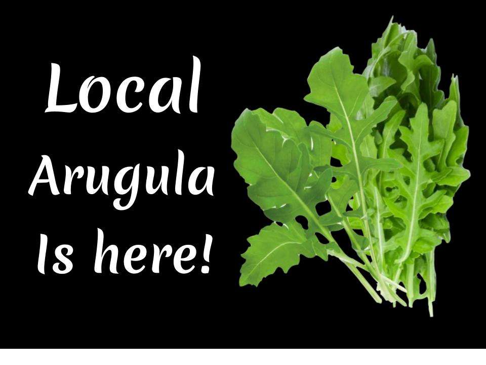 Local Arugula is here
